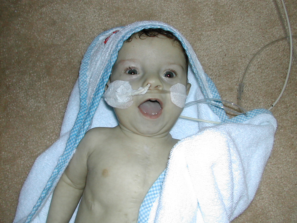 1002x745 pixels (309K)